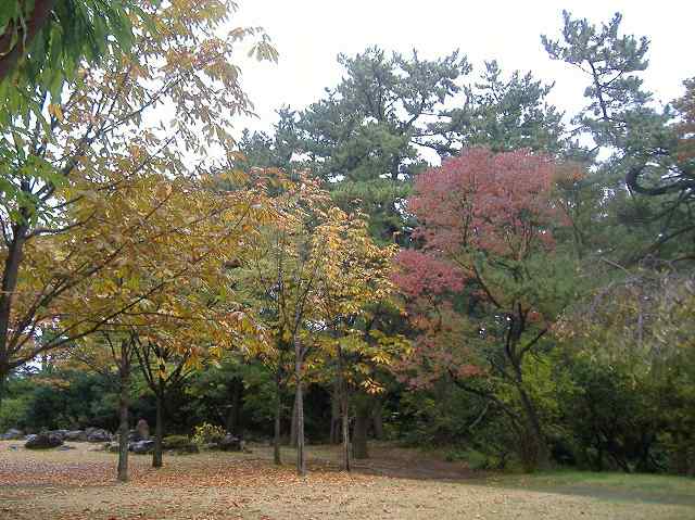 寺尾中央公園の紅葉 里の秋 新潟市近郊の登山と散策日記
